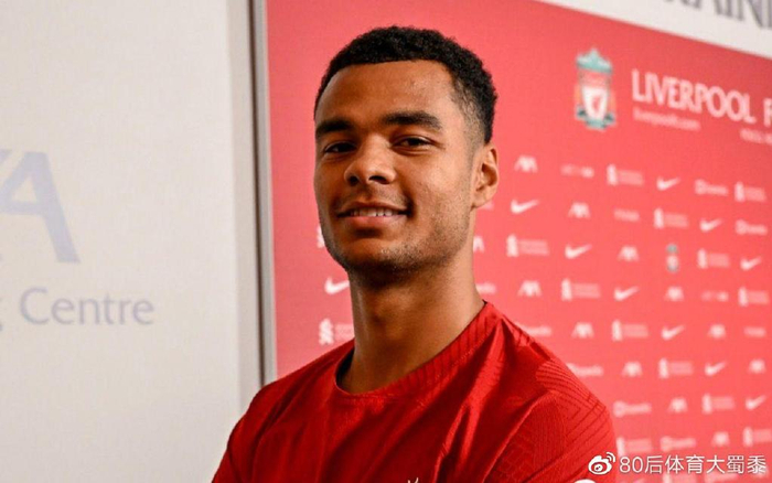 类似布季米 类似布季米